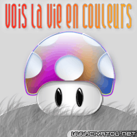  vois la vie en couleurs 